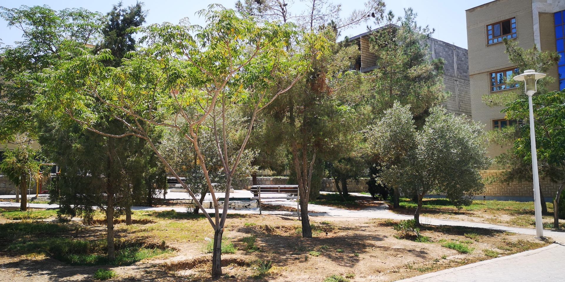 عکس بوستان شیدای اصفهانی شمالی