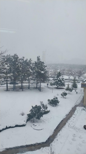 عکس بوستان شیدای اصفهانی شمالی