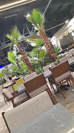 عکس رستوران پدیده شاندیز