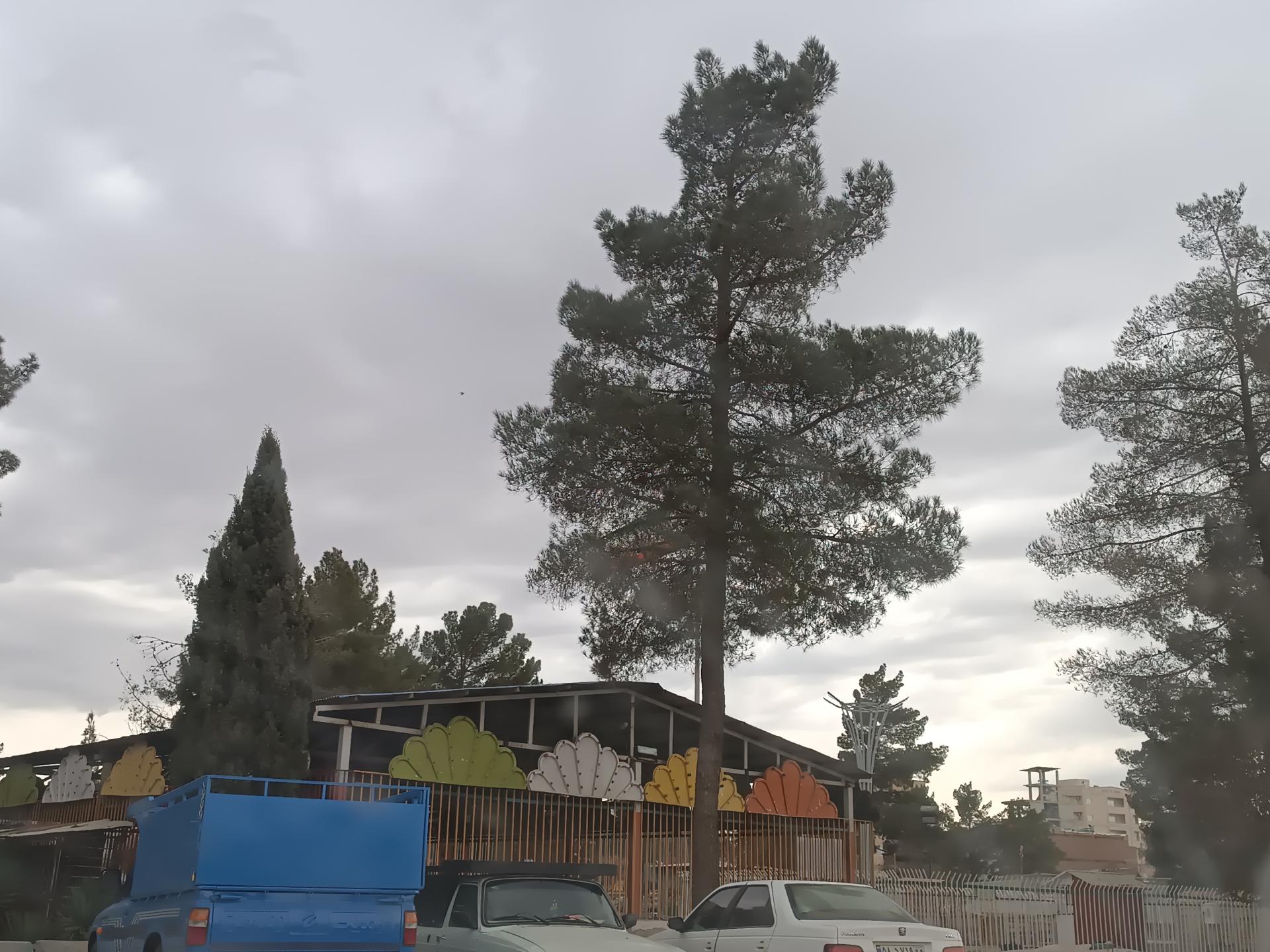 عکس سالن بازی ماشین برقی