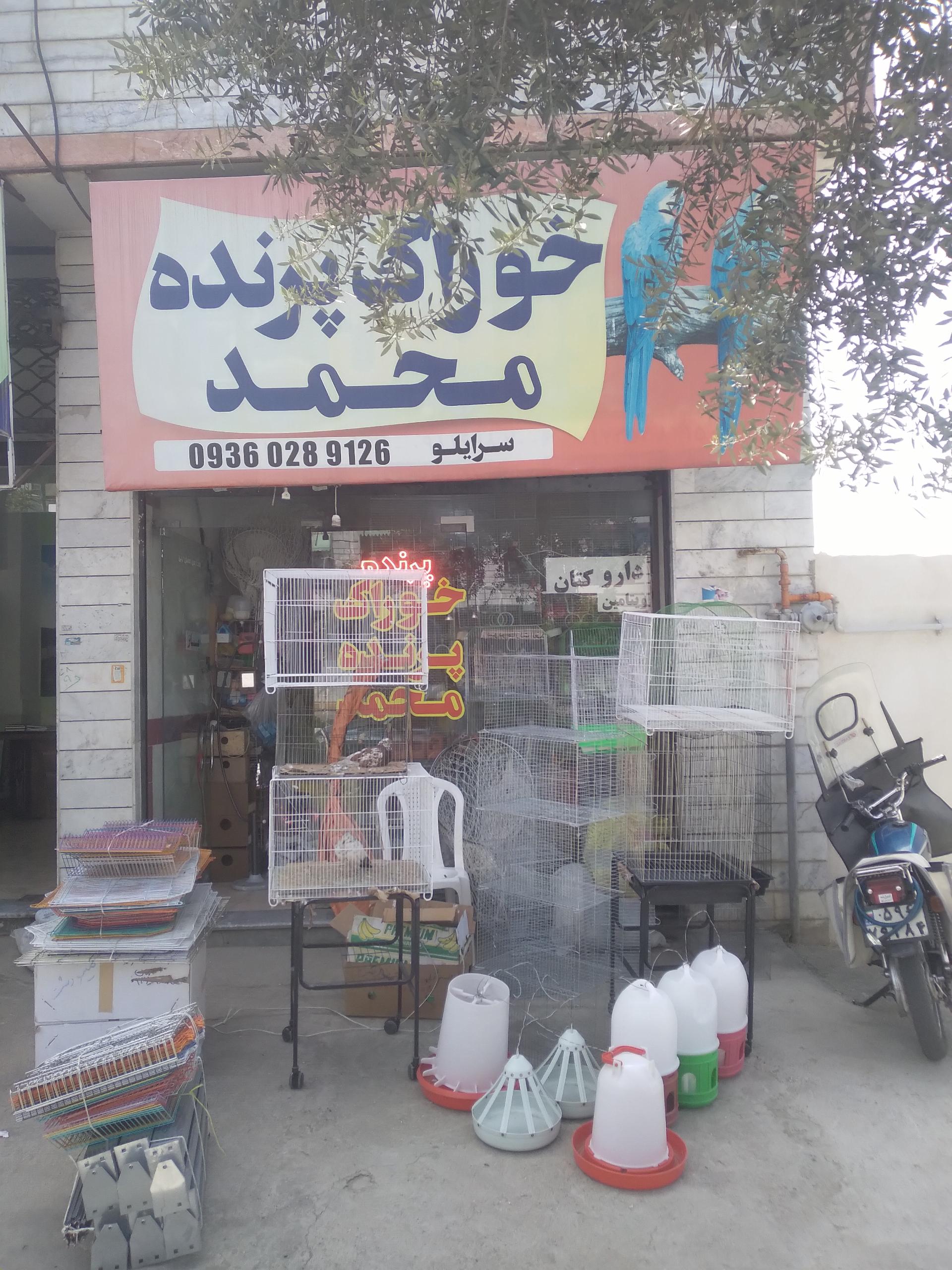 عکس خوراک پرنده محمد