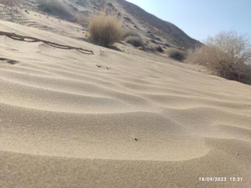 عکس نهبندان