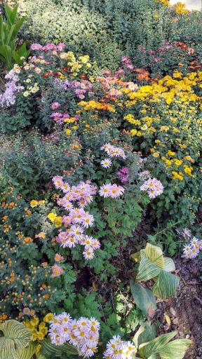 عکس بوستان بانوان