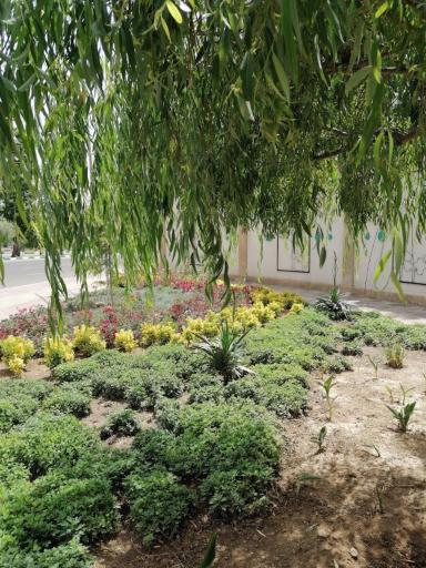 عکس بوستان بانوان