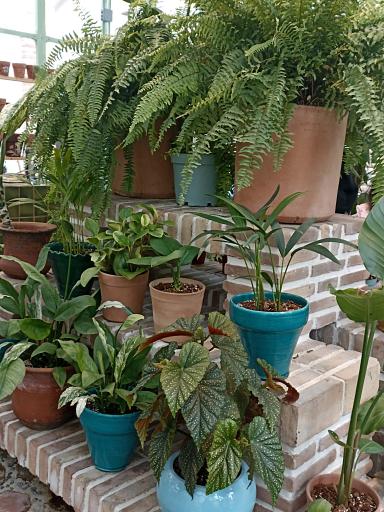 عکس منزل بهرامی