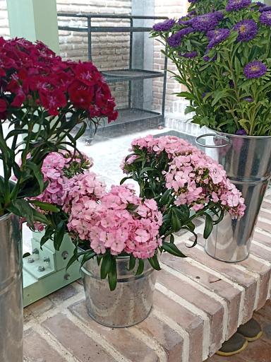 عکس منزل بهرامی