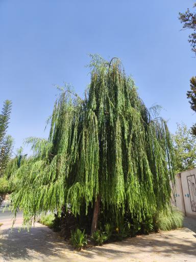 عکس بوستان بانوان