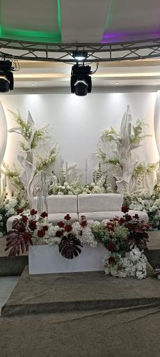 عکس تالار باغ زندگی لاسمی