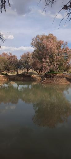 عکس نهبندان