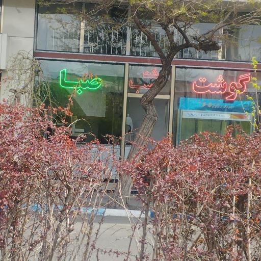 عکس گوشت صبا