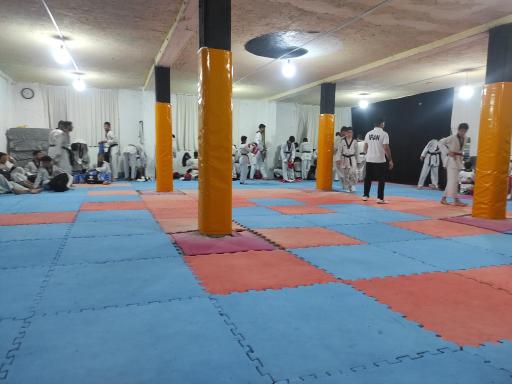 عکس آکادمی تکواندو ستارگان لاریم
