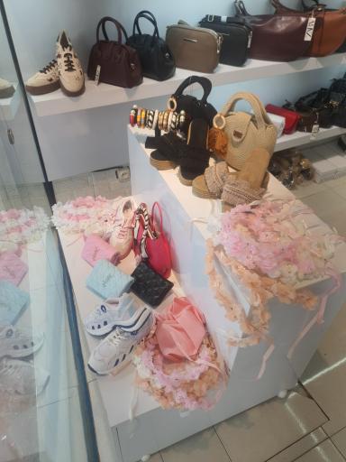 کیف و کفش پنیتو