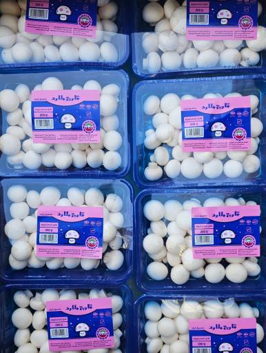 عکس پخش قارچ ملارد