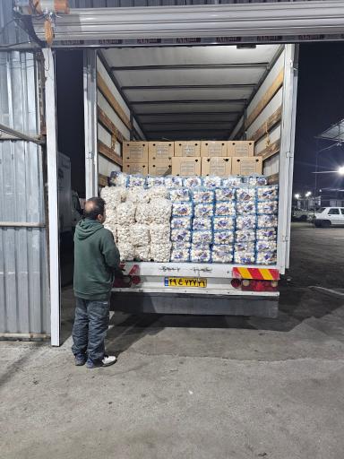 عکس پخش قارچ ملارد