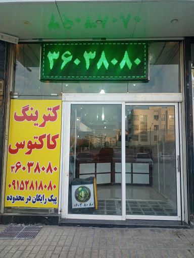 عکس کترینگ کاکتوس