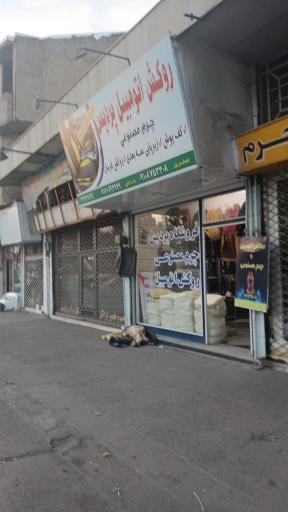 عکس فروشگاه روکش صندلی پردیس