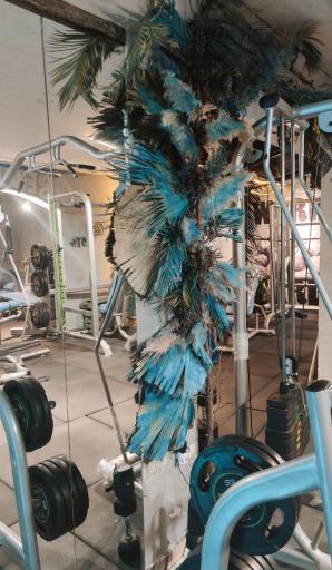  باشگاه سون پرو جیم