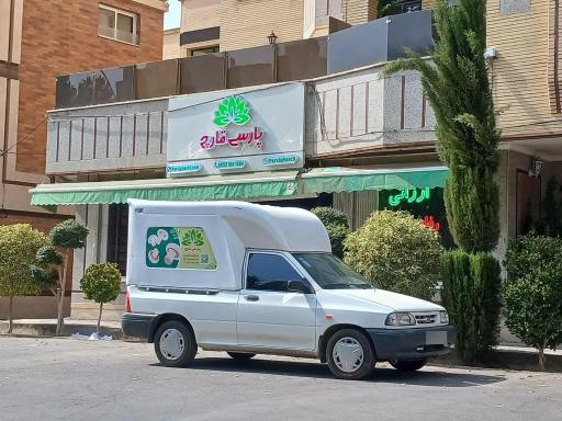 عکس عمده فروشی قارچ خوراکی پارسی قارچ