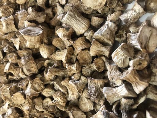 عکس عمده فروشی قارچ خوراکی پارسی قارچ