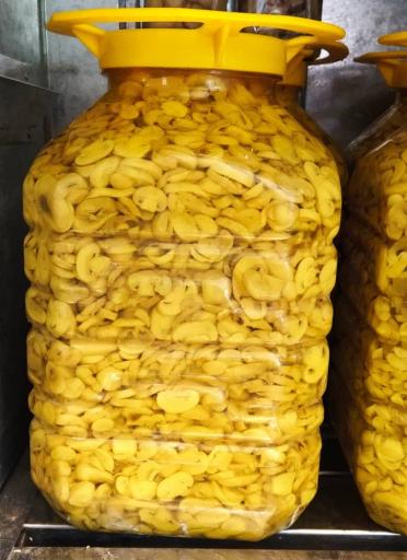 عکس عمده فروشی قارچ خوراکی پارسی قارچ