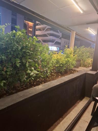 عکس رستوران می‌شف