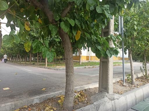 عکس بوستان تربیت