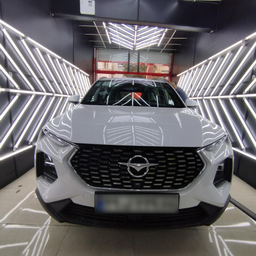 عکس تشخیص رنگ و اسپرت فردین