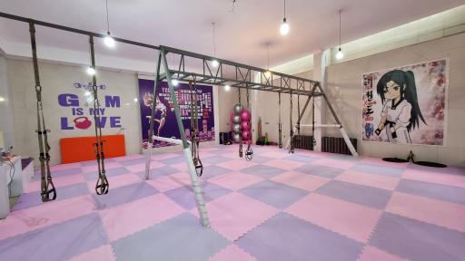 عکس باشگاه هیبا