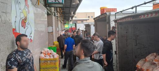 عکس عمده فروشی مرغ جوشقان