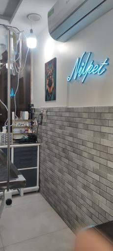 عکس کلینیک دامپزشکی نیل پت