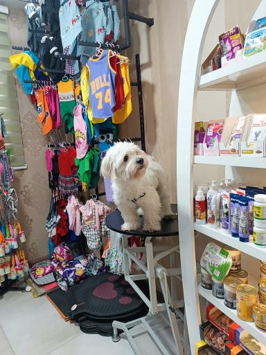 عکس کلینیک دامپزشکی نیل پت