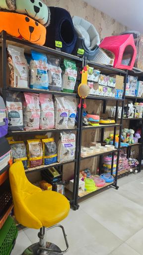 عکس کلینیک دامپزشکی نیل پت