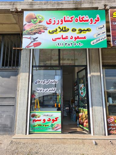 عکس داروخانه گیاهپزشکی میوه طلایی مسعود عباسی