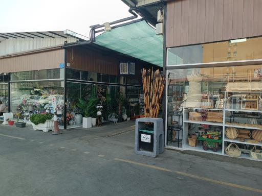 عکس بازار گل آسمان