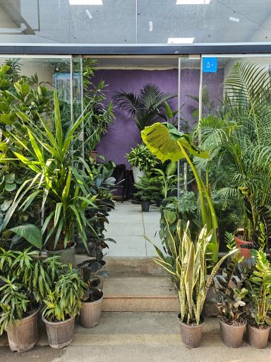 عکس بازار گل آسمان