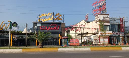 عکس برگر زغالی نصرت