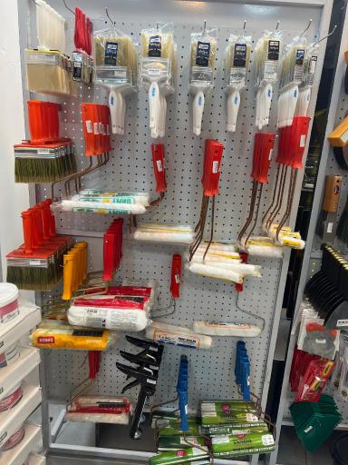 خانه رنگ کملیون