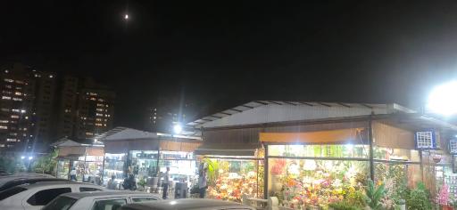 عکس بازار گل آسمان