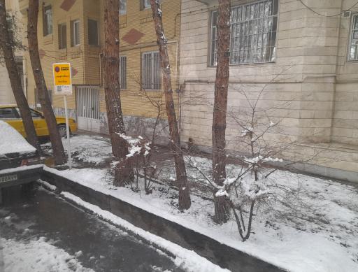 عکس  نوفل لوشاتو 6