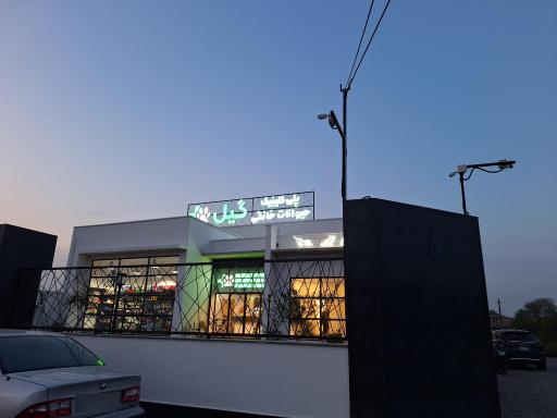 عکس پلی کلینیک حیوانات خانگی گیل