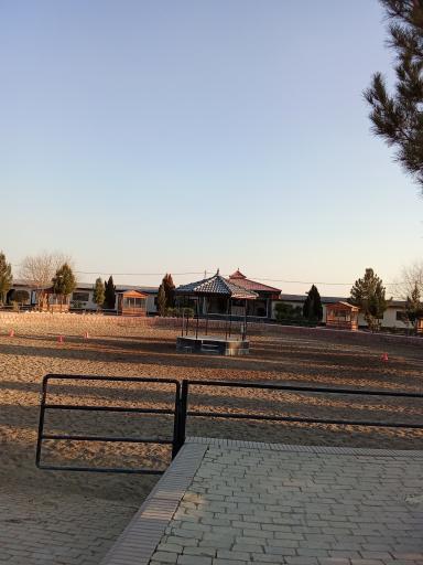 عکس سوارکاری ایرانیان 