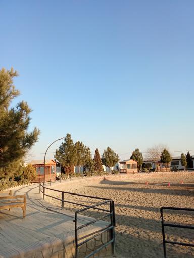 عکس سوارکاری ایرانیان 