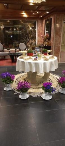 عکس هتل البرز