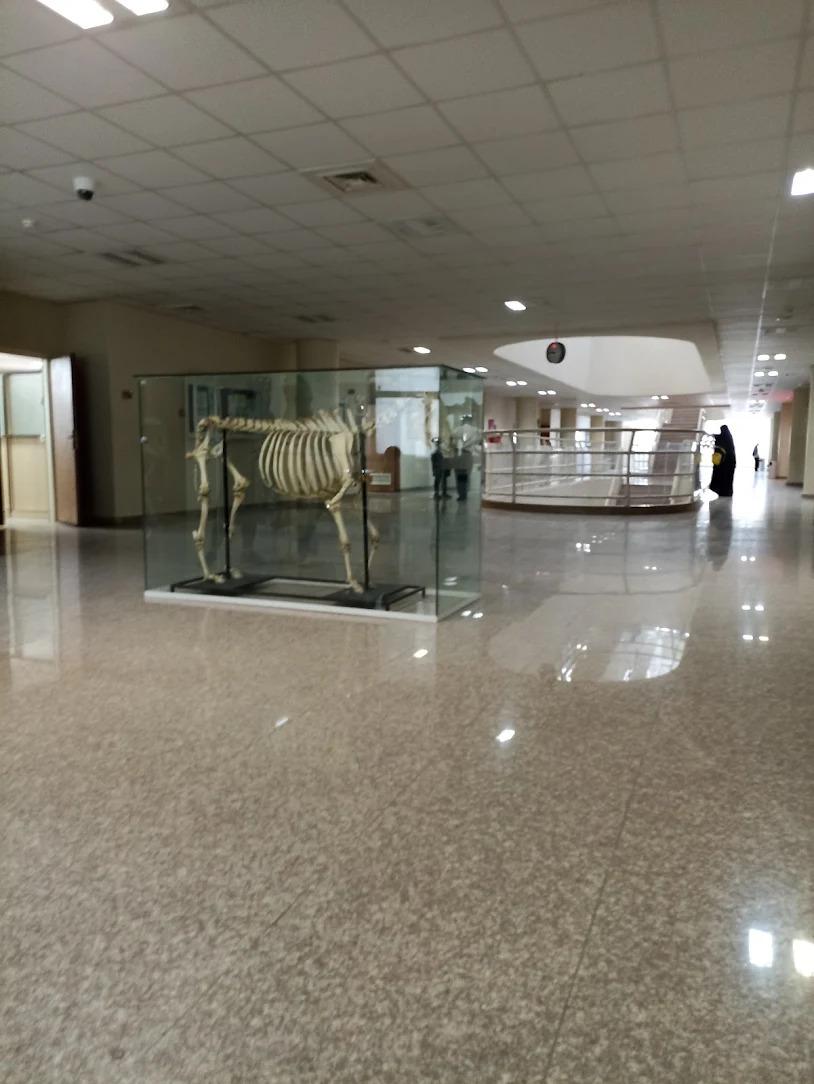 عکس دانشکده دامپزشکی