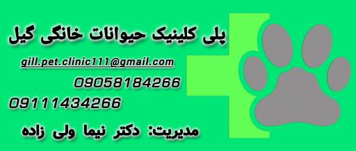 عکس پلی کلینیک حیوانات خانگی گیل