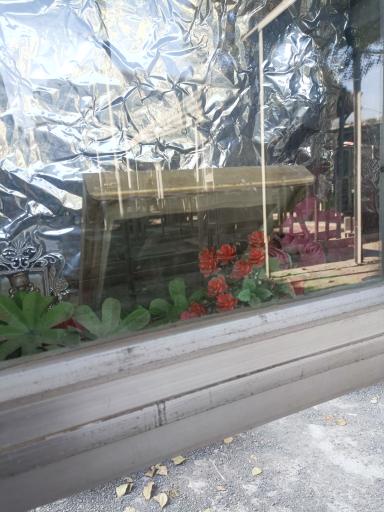 عکس مزار شهید رمضان علی حسین مردی 