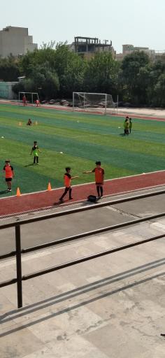 عکس مجموعه ورزشی آریو مصلی نژاد