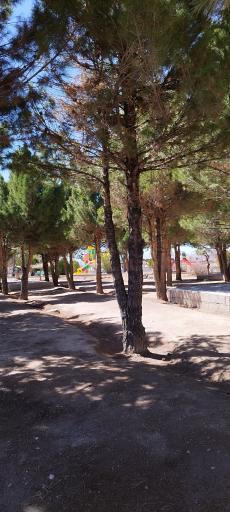 عکس بوستان سعدی