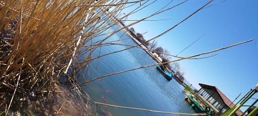 عکس بوستان سعدی