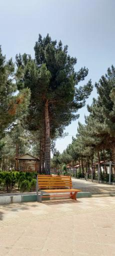 عکس پارک جنگلی ترنج (تورنج)